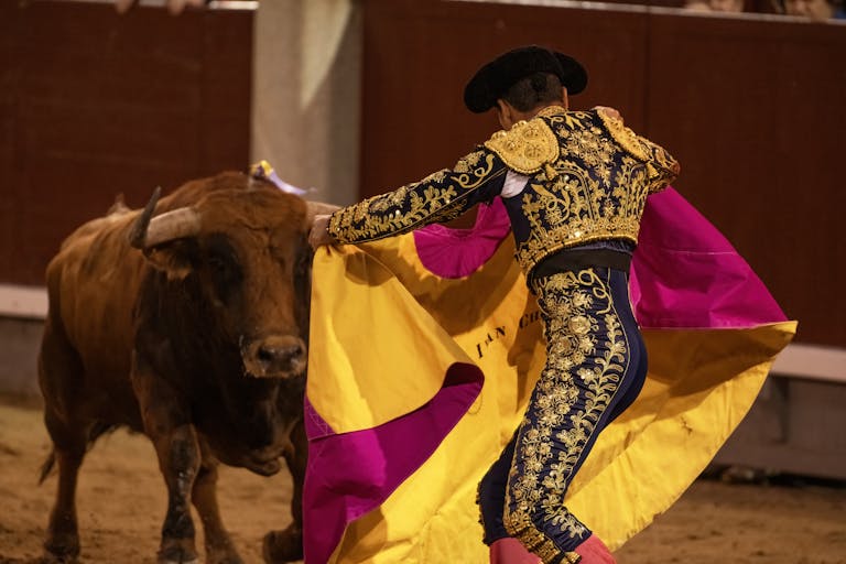 Dynamic scene of a bullfight in Madrid, Spain showcasing a skilled matador.